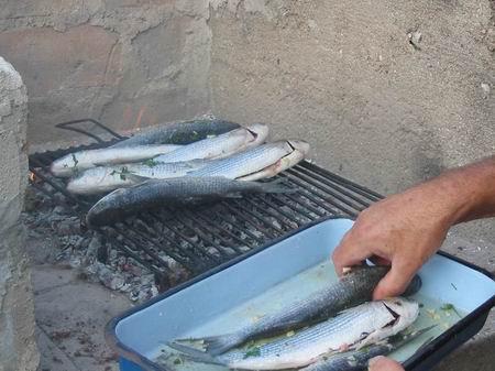 gardela 1....mljask!